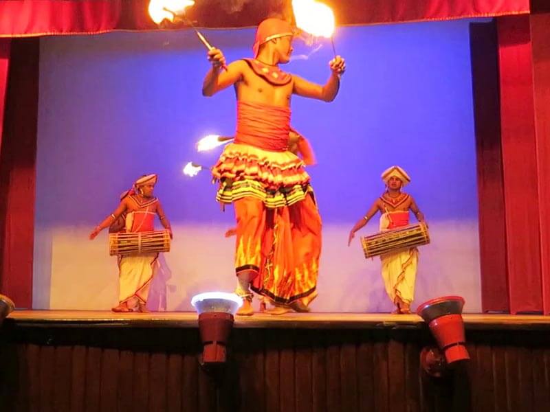 Cultural Dance Show