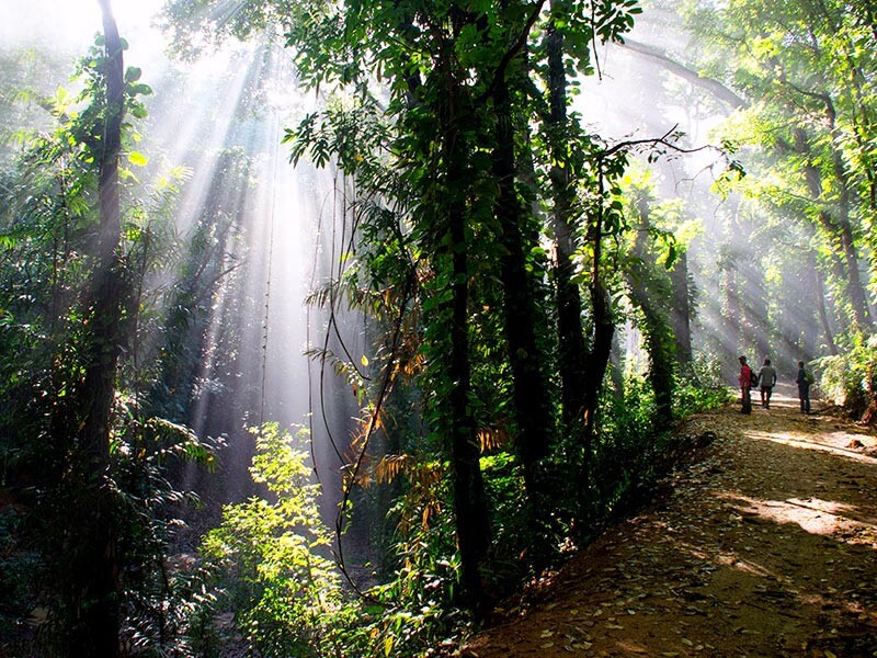 Udawatta Kele Sanctuary