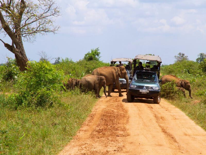 Udawalawe National Park